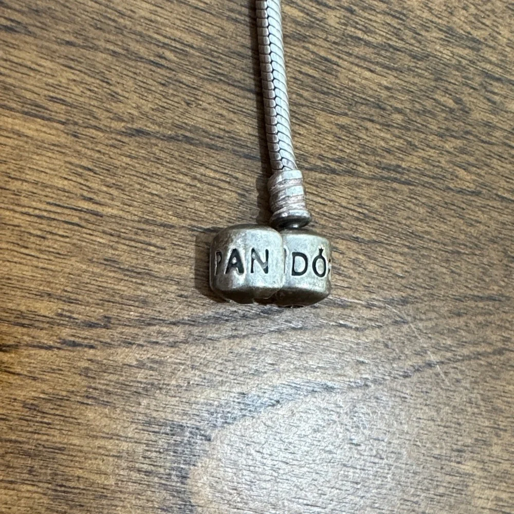 Pandora Charm Bracelet with Miscellaneous Charms - Picture 2 of 2